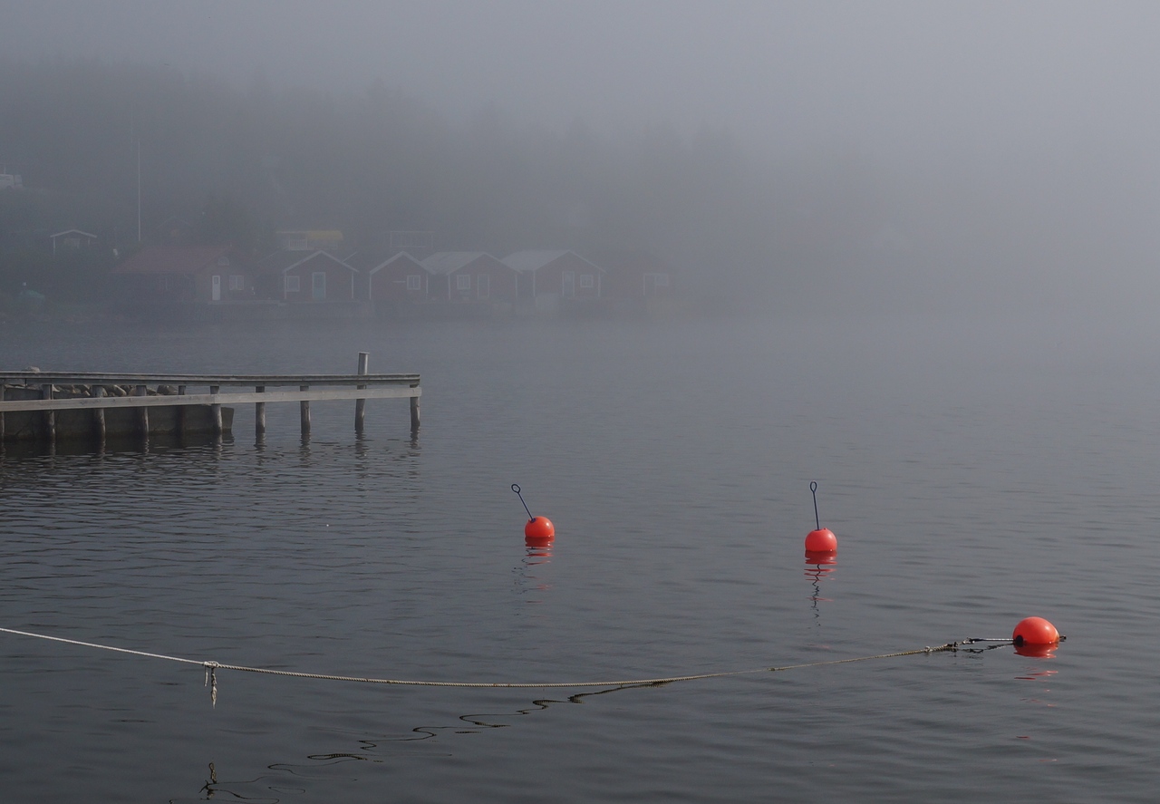 Barsta Hamn, Höga Kusten