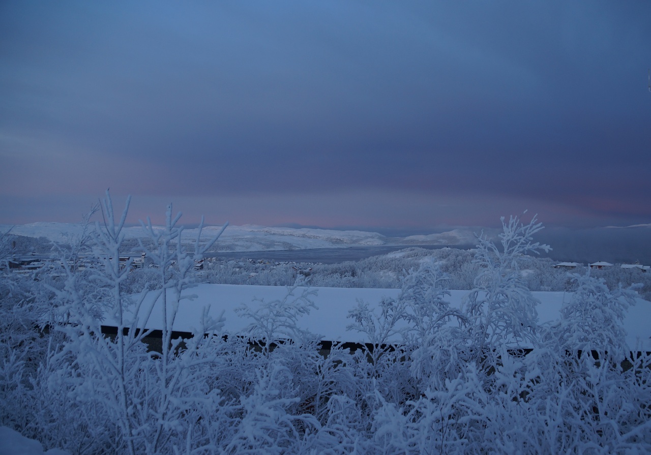 Winterkälte