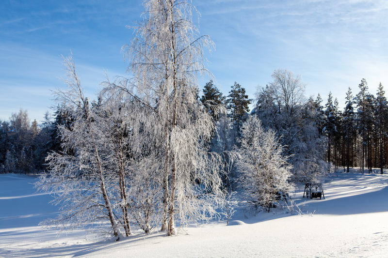 Noch Winter !