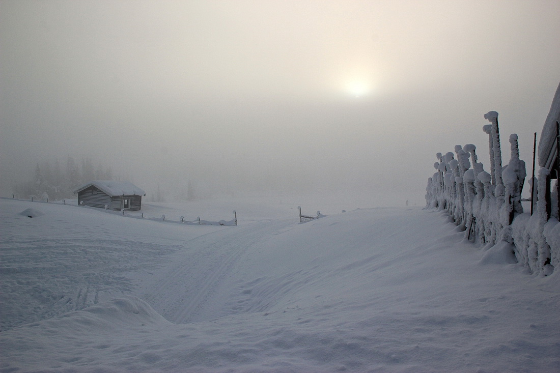 Piesel-Nebel im Winter?!