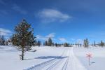 Winterwanderweg im Fjäll