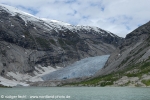 Nigardsbreen