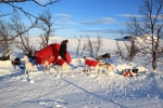 Camp im Fjäll