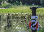 Tierische Badeaufsicht