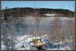 Eiszeit auf dem Torvsjö