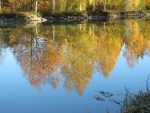 Spiegelung im Göta Kanal 1