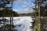 Kleiner Waldsee