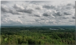 WWW-Wald Wasser Wolken